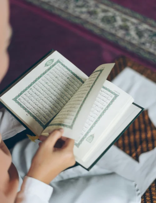 Online Quran Learning